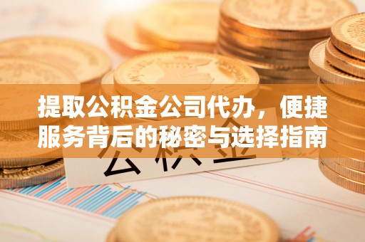 汤原提取公积金公司代办，便捷服务背后的秘密与选择指南