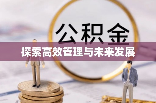 汤原探索高效管理与未来发展
