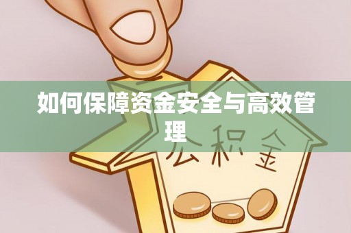 汤原如何保障资金安全与高效管理