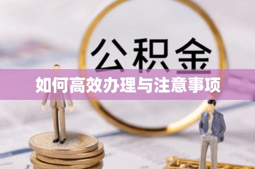 汤原如何高效办理与注意事项