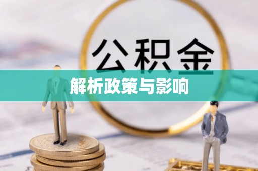 汤原解析政策与影响