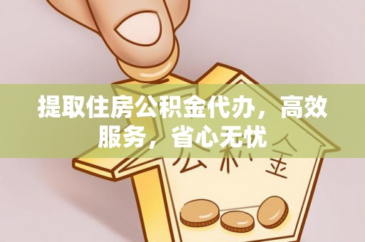 汤原提取住房公积金代办，高效服务，省心无忧