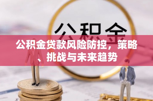 汤原公积金贷款风险防控，策略、挑战与未来趋势