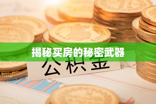 汤原揭秘买房的秘密武器