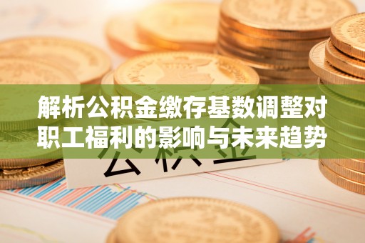 汤原解析公积金缴存基数调整对职工福利的影响与未来趋势