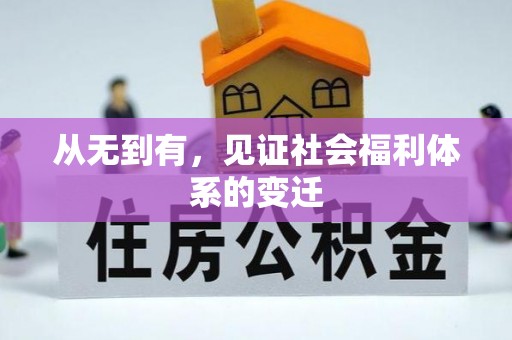 汤原从无到有，见证社会福利体系的变迁