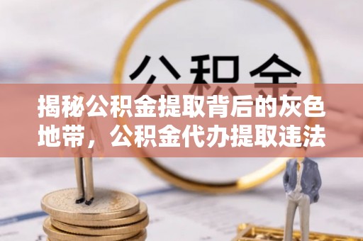 汤原揭秘公积金提取背后的灰色地带，公积金代办提取违法不？