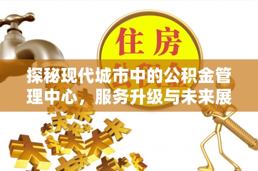 汤原探秘现代城市中的公积金管理中心，服务升级与未来展望