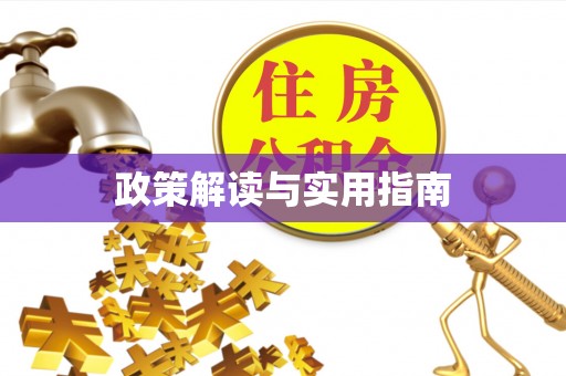 汤原政策解读与实用指南