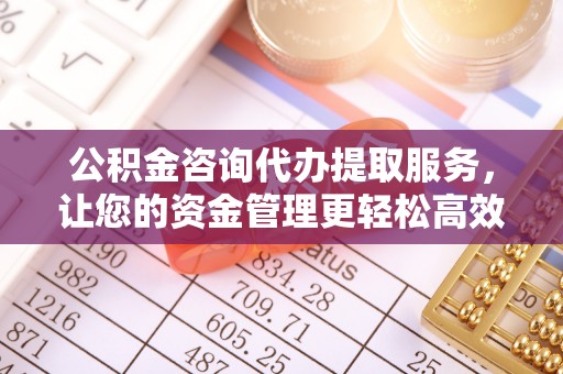 汤原公积金咨询代办提取服务，让您的资金管理更轻松高效