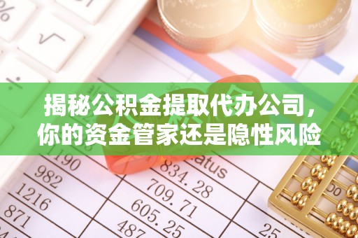 汤原揭秘公积金提取代办公司，你的资金管家还是隐性风险？