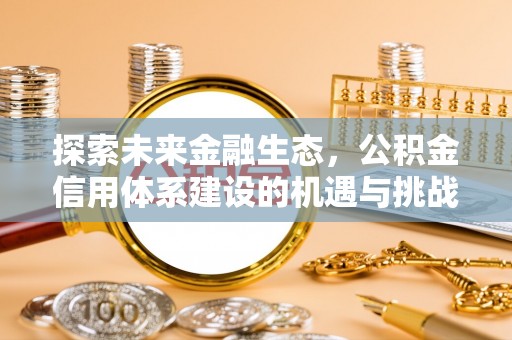 汤原探索未来金融生态，公积金信用体系建设的机遇与挑战