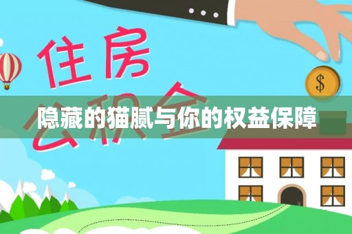 汤原隐藏的猫腻与你的权益保障
