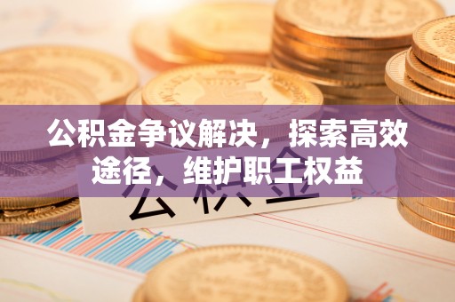 汤原公积金争议解决，探索高效途径，维护职工权益
