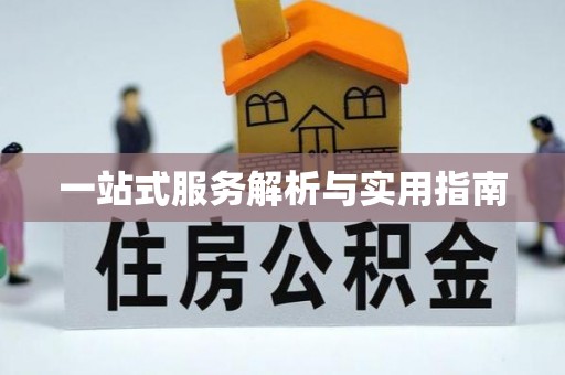 汤原一站式服务解析与实用指南
