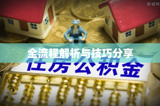 汤原全流程解析与技巧分享